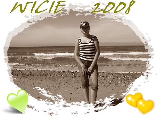 wicie 2008