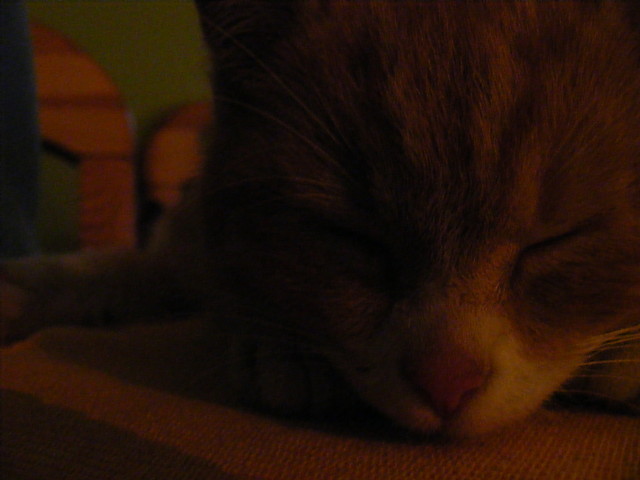 dropsik.