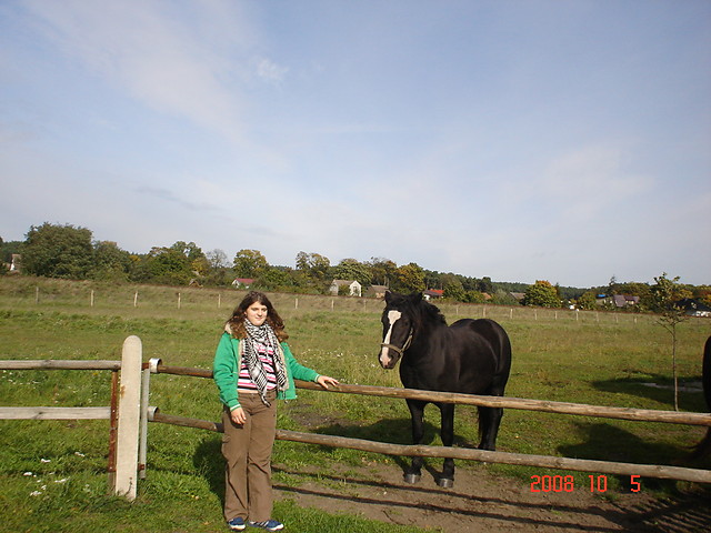 Konik
