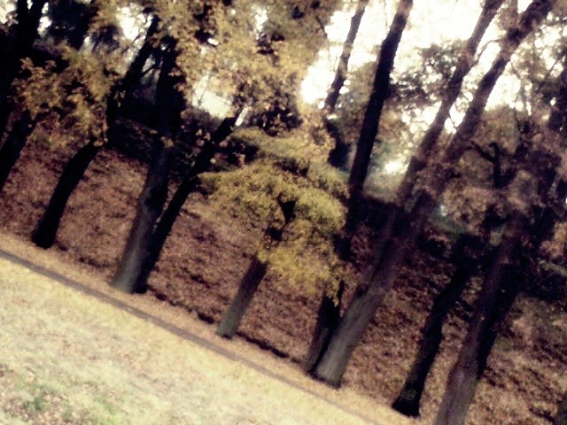 jesiennie.!