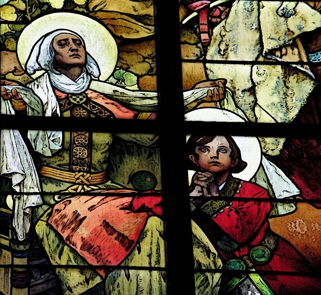 Witra - Mucha