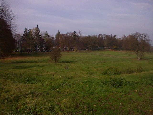 liwki.