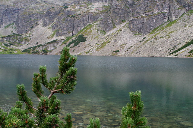 Czarny Staw Gsienicowy.