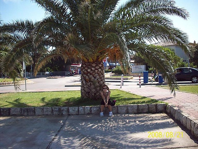 palma:D