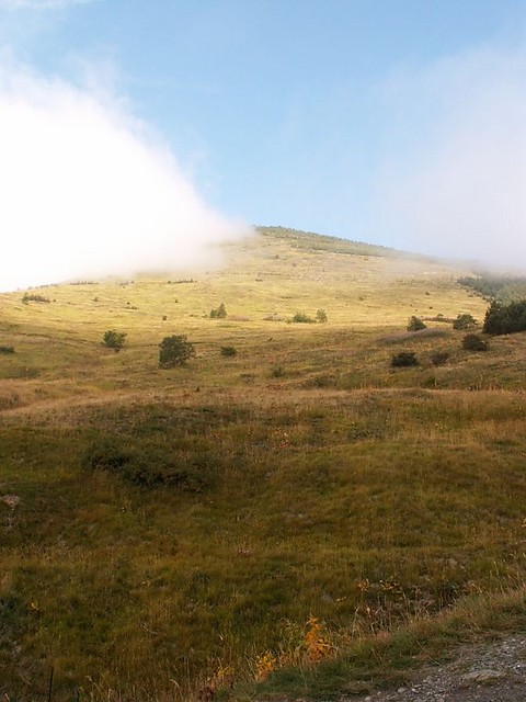 gra