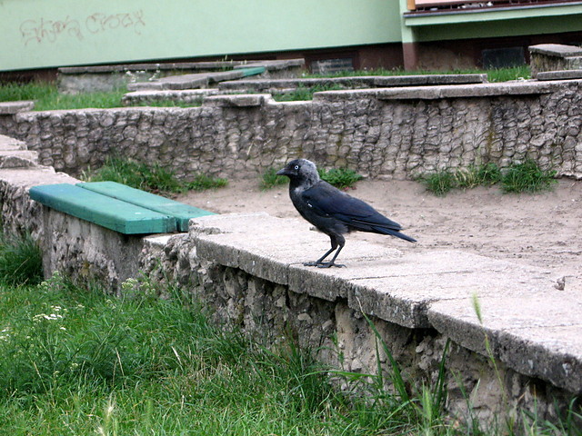1304.