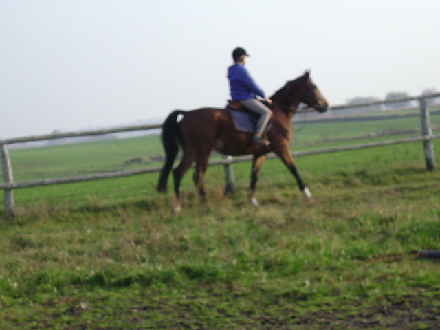jakosc dupna of cours:D