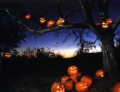 HALLOWEEN