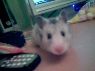 MarzEENaa xD
