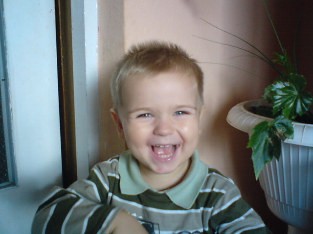 MAY ZGREDEK      XD