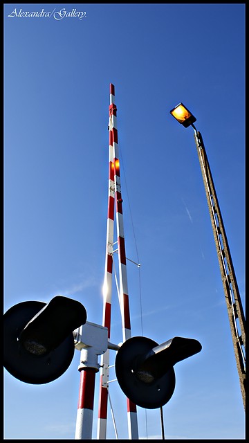 17.