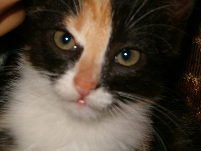 TO MOJA ODKA TAPSI!!!! ^^