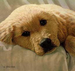 piesio
