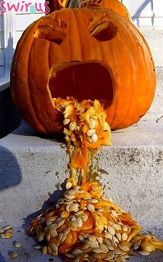 hallowen dynia