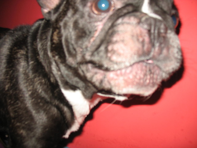 Zeus. 
