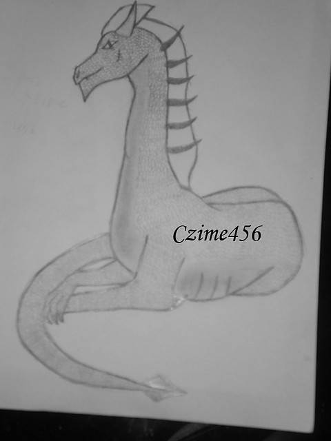 Smok-Dragon