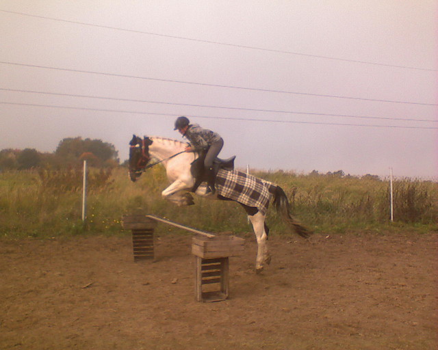 Riciek x3