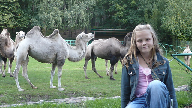 W zoo :)