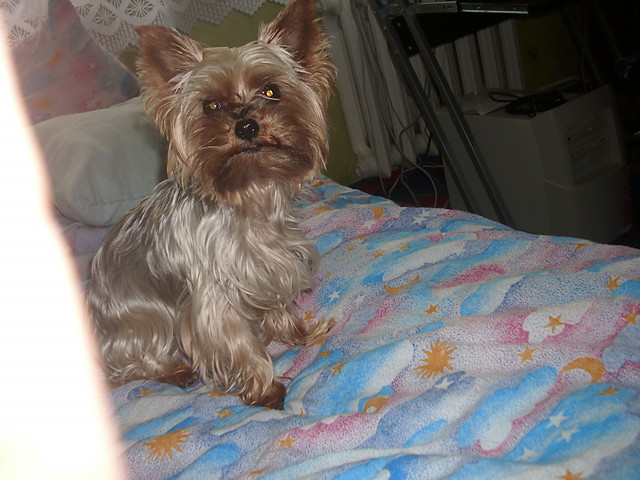 Mooj piesioOo ;** 