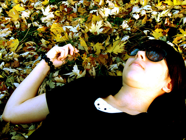leaves.