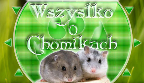 Zapraszam 
