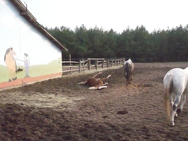 Gunny ;D
