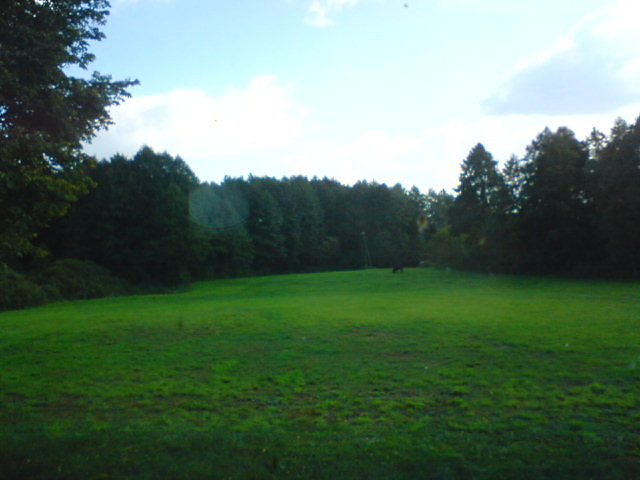 Widoczek