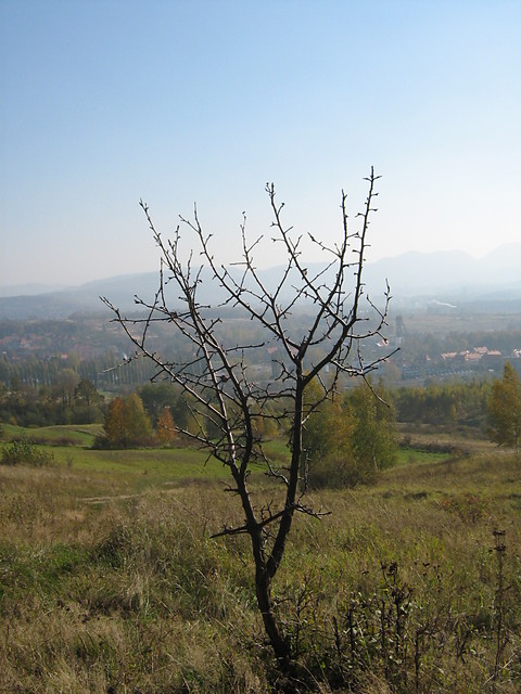 pustka