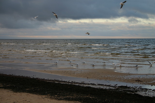 Jurmala, otwa