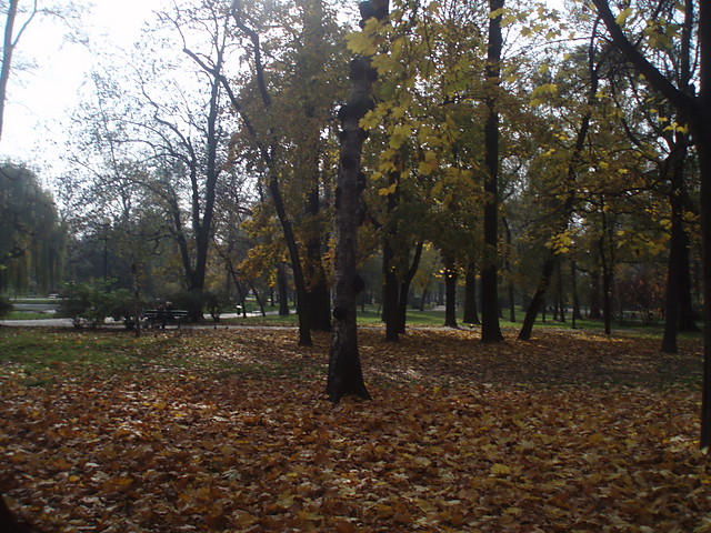 Park Krakowski