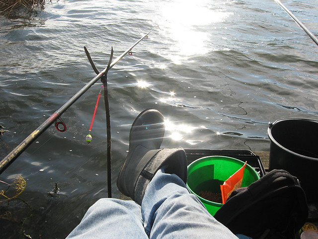 ryby Listopad 2008