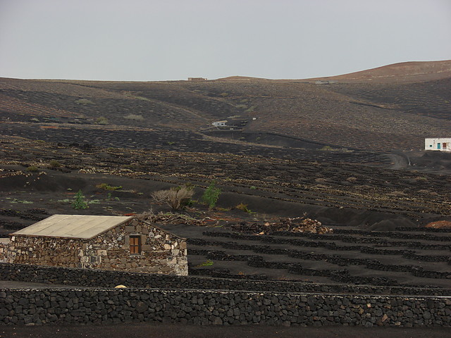 La Geria