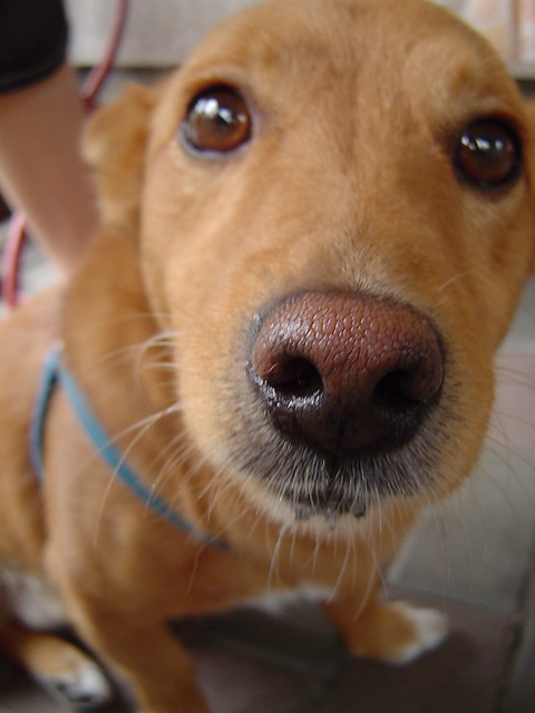 nosek ^^