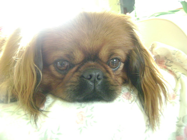 I jeszcze raz Miggggggggaaaa..;p