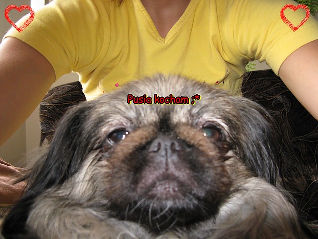 Pusia ;*