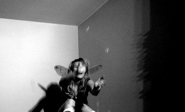 motyl?