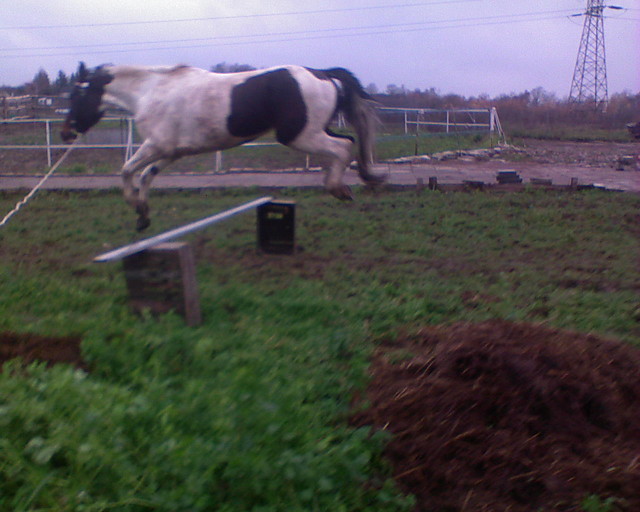 Riciek w fazie lotu xD