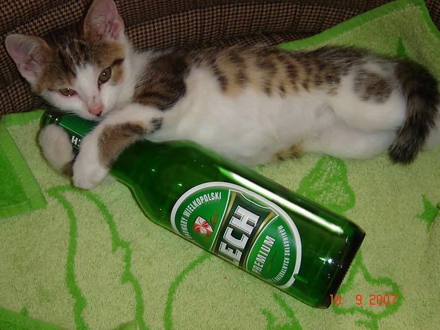 opu :D