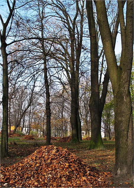 bronowice cz dalsza.