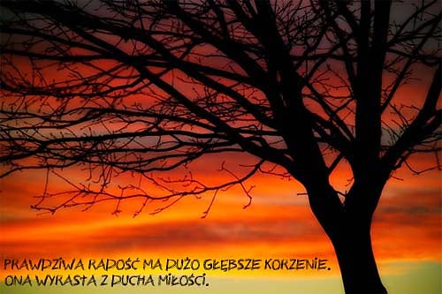 To niesamowite!