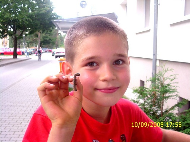 Z Gsienic