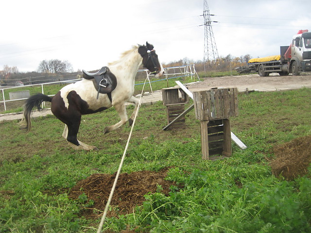Riciek xD Zdolna ona jest ^^