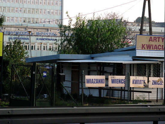 wizanki,