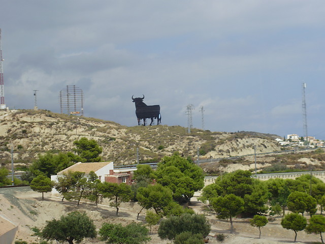 Byk na grze