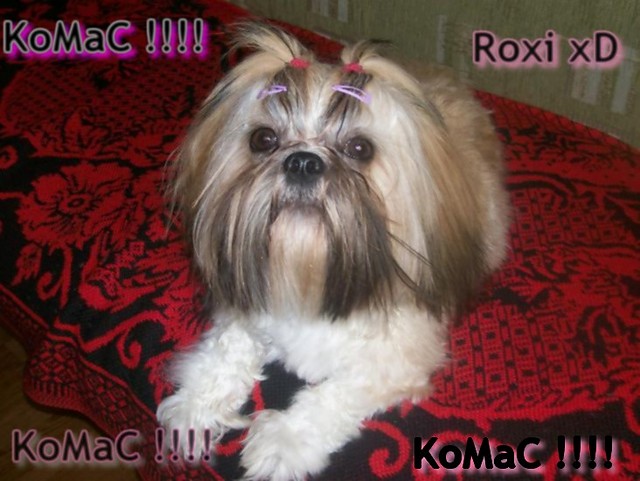 xD  Roxi ;p 