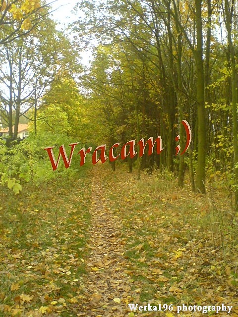 Powracam ;)