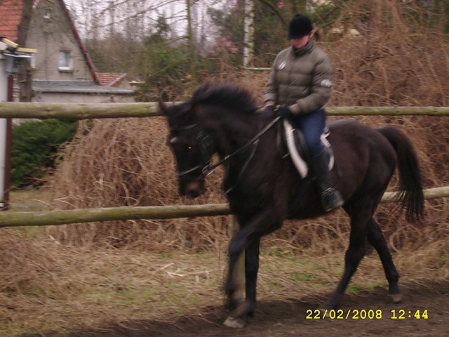 Galup zebrany ^^