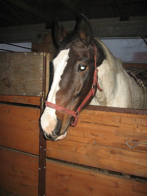 Riciek ^^