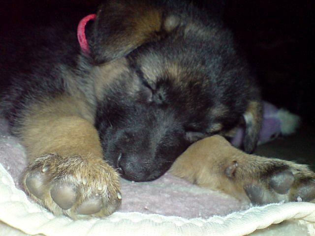 Kara :* :D