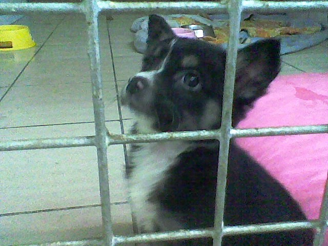 SWEET :)